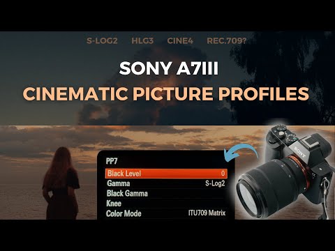 Best Sony A7Iii Picture Profiles For Filmmaking