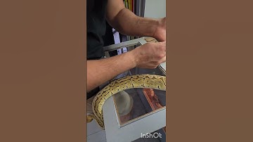 Lemon Blast Ball Python Gender Reveal: It