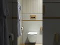 Choosing the Right Wall-Hung Toilet: The Ultimate Guide for European Homes, Hotels, and Inns 🚽✨