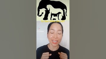 Có bao nhiêu con vật trong bức tranh? #xiembui #gcoop #video #dovui #cohoikinhdoanh