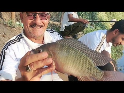 صيد السمك بالطريقه الخبيثة اكسبلور Fishing Fish صيد السمك صيد بلطى صيد غله