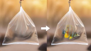 1 min Photoshop Tutorial -  Fish in Packet - Quick Photoshop tricks by Smart Graphics 2,200 views 13 days ago 1 minute, 12 seconds