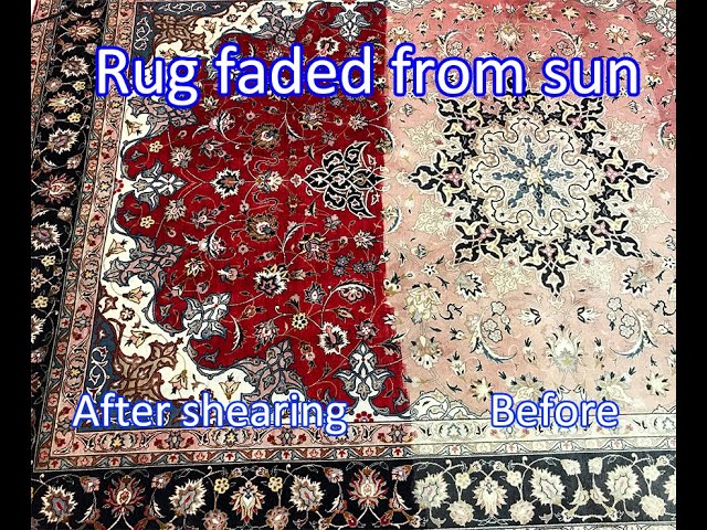 rug fading in sunlight before and after