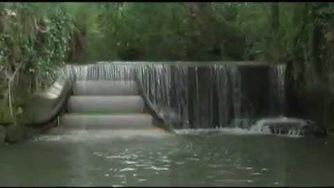 Scattered Trailer by Motionhouse.mp4