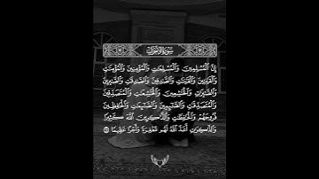 #تلاوات خاشعة🩷.. اللهم اجعل القرآن العظيم ربيع قلوبنا..✨️