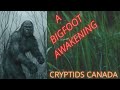 CC EPISODE 408 A BIGFOOT AWAKENING