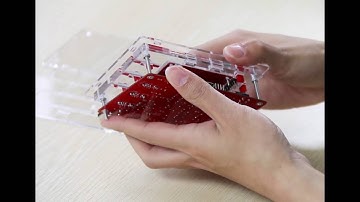 DSO138 デジタルオシロスコープ 専用設計アクリルケース組み立て