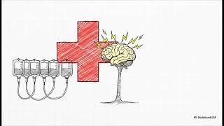 MDMA vs Ketamine for PTSD: The Neuroscience Compared | OOTW Journal