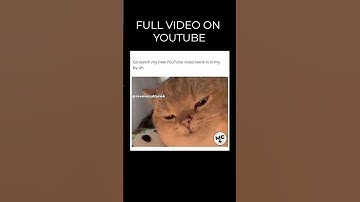 We just dropped another YouTube video… go check it out #exclusivetrailers