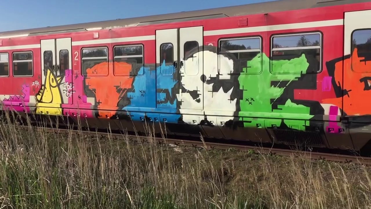 Frankfurt S Bahn Tese Dsf Birds 420