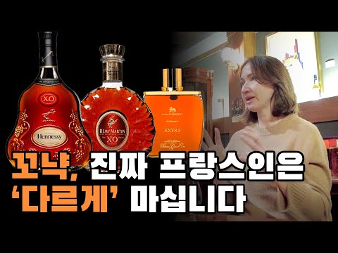 프랑스 전문가가 쉽게 알려주는 꼬냑 가이드 (입문자 필수 시청)