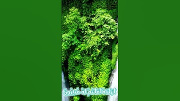 سورة الأنبياء وكا.نك تسمعها لأو.ل مر.ة💝🌺؛.🌸💗💜.💟بصوت الشيخ حمزة مدبو.ح ❣️..🌻.💗..💓❤️؛،💛💮🍃