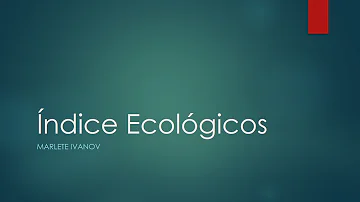 O que o IRI considera?