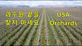 과수원 끝이 어딘지 찾으려 마세요. Washington Orchards