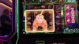 Monkey Bucks bonus had us going banana's! screenshot 3