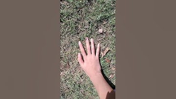 Touching grass for the first time in my entire life
