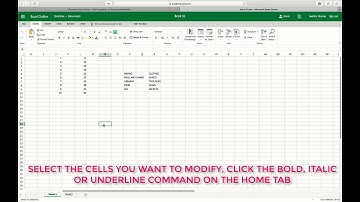 HOW TO USE BOLD ITALIC AND UNDERLINE COMMANDS IN EXCEL ONLINE ONEDRIVE