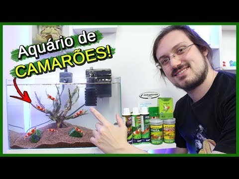 Vídeo: Como Manter Camarão De Aquário