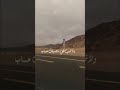 حالات واتس عز نفسك والى ما يودك لاتوده 
