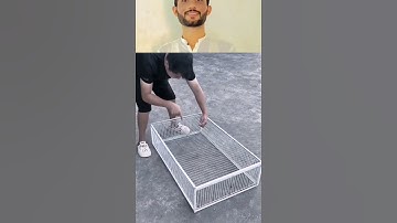 Poultry Cage Hack ✨ | One-Way Door Trick for Chickens & Pigeons #catchcageadventures #birds