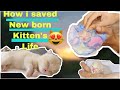 How i saved a new born kitten’s life |how cat deliver kittens |fungal infection in cats|spa|grooming