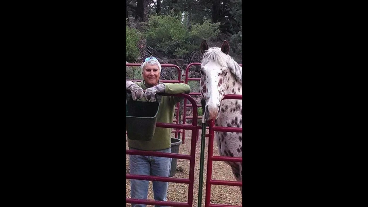 Watch Stop Waking Me Up by Appaloosa on YouTube Watch Stop Waking Me Up by Appaloosa on YouTube