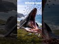 #shorts #whale video #shortvideo #subscribe