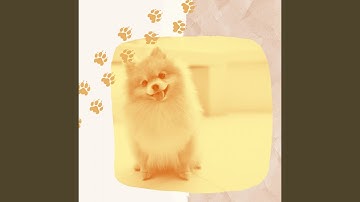 Pulsating Backdrops for Dog Training