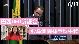 【巴西UFO听证会】（6/19）亚马逊雨林的巨型生物