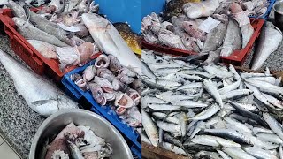 سعر السمك اليوم في الاسواق الجزائر،... Le prix du poisson aujourd'hui sur le marché algérien,