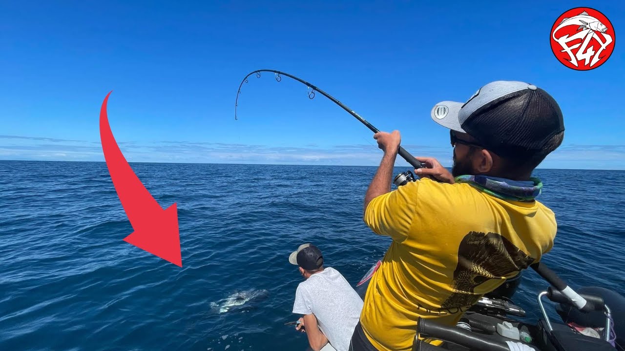 La pêche au thon rouge, le « roi des océans », bat son plein au