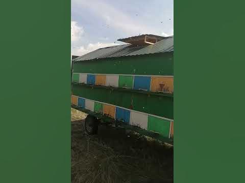 Павильон на 48 семей,легковой автомобиль справляется . #пасека # ...