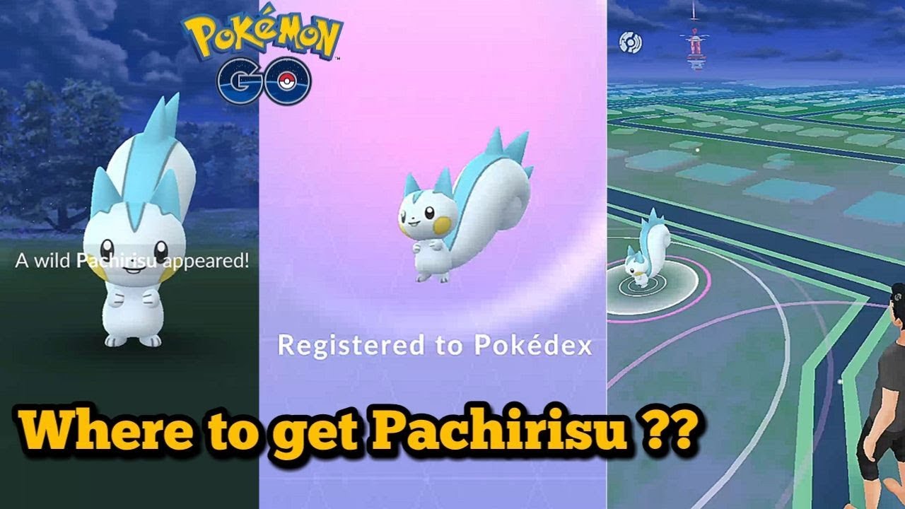 Where To Find Regional Exclusive Pokemon Pachirisu In Pokemon Go