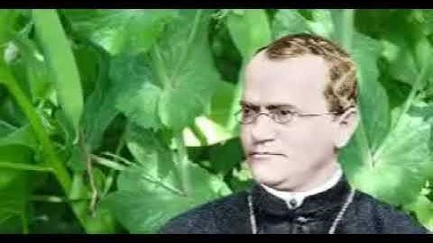 GRADE 9 SCIENCE 1ST QUARTER MODULE 2 NON MENDELIAN PATTERN OF INHERITANCE GRADE 9 DIAMOND 2017 2018