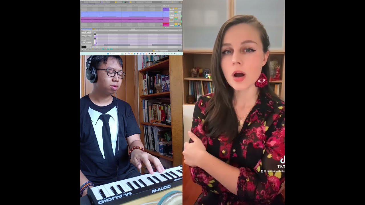 Nocturne - Secret Garden (feat. Ekaterina Shelehova) #remix #duet #collab #orchestral