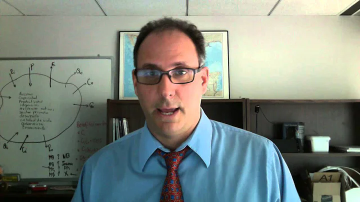 Commentary to Sustainability Modeling Lecture 8