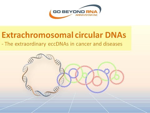 Video: Co jsou extrachromozomální prvky?