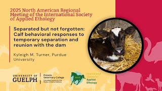 Calf behavioral responses to temporary separation and reunion with the dam @campbellcentreforthestudyo7487