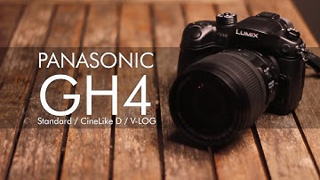 GH4 V-Log Comparison (T2i & NEX6)