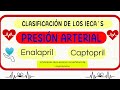 PRESIÓN ARTERIAL - Enalapril, Captopril e Lisinopril - IECA's para el tratamiento de la Hipertensión