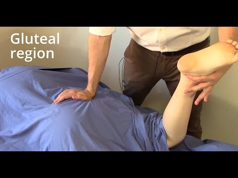 Massage Tutorial: Gluteal region (gluteus maximus, piriformis, sciatica)