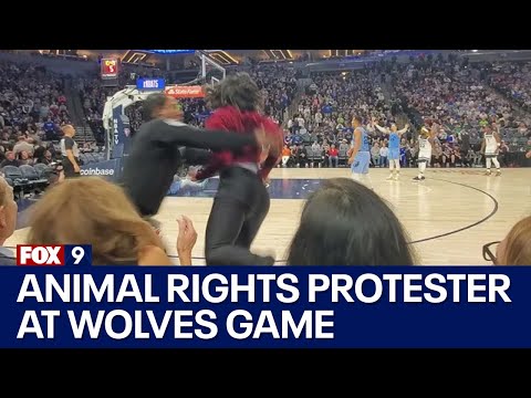 Video of animal rights protester entering Timberwolves court, getting tackled by security | FOX 9