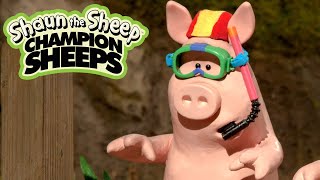 Swimming | Championsheeps Games | Shaun the Sheep