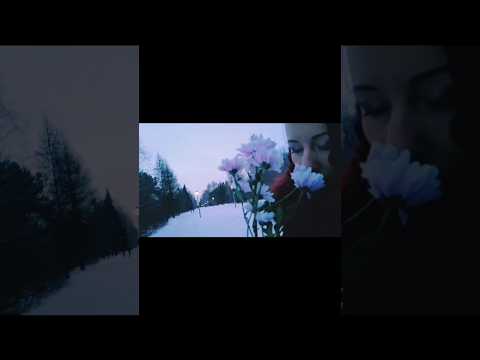 Весну разрешаю🌼 @ReDriadaDance #енотт #shorts подписывайтесь на канал