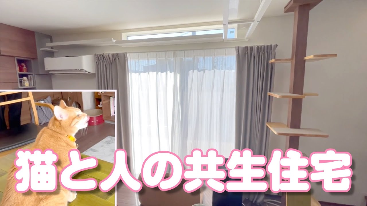 猫と人との共生住宅（島根県松江市）