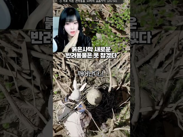 한달만에 붉은사막을 다시 켠 이유