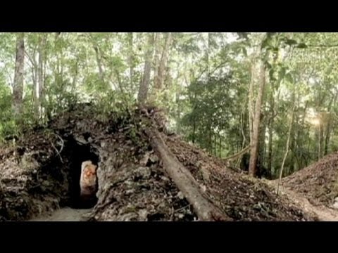 Vidéo: Où A été Trouvé Le Nouveau Calendrier Maya ?