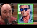 Joe Rogan - Sylvester Stallone is an Animal!