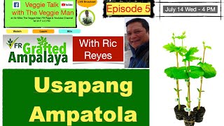 Usapang Ampatola (Grafted Bittergourd) from the expert - Farm Ready Seedlings
