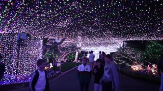 World Record Canberra Christmas Lights Display Video